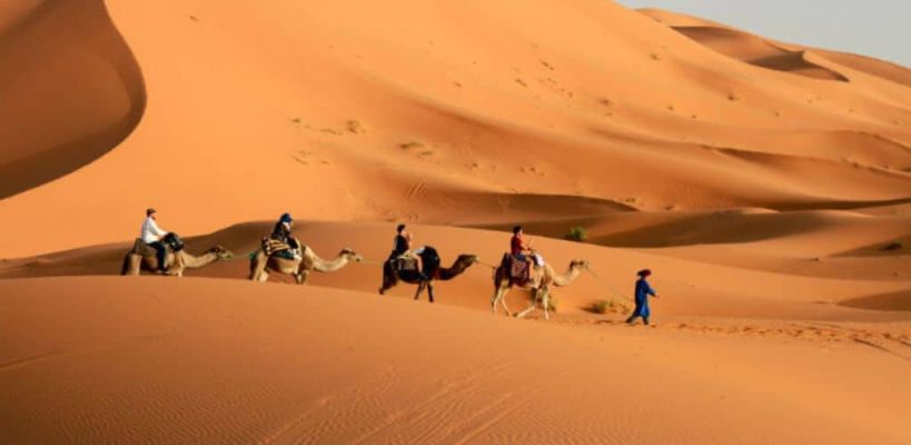 Paseo en camello al desierto